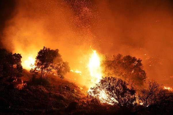 Incendi a Pachino: segnalare i danni entro il 16 Agosto