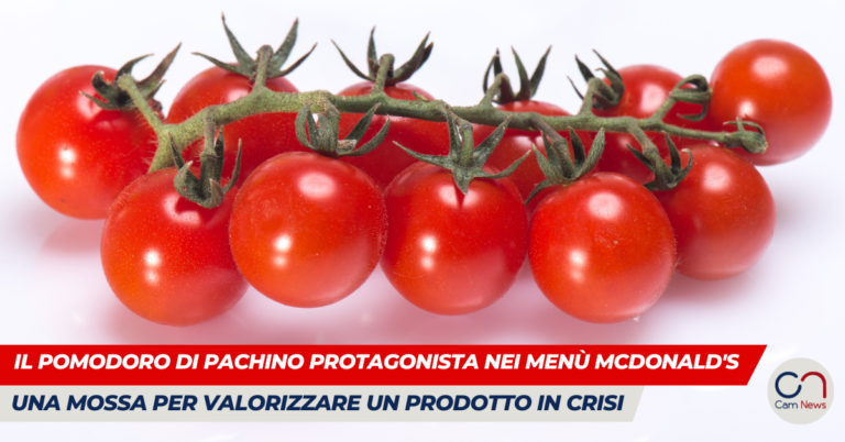 Il Pomodoro di Pachino protagonista nei menù McDonald’s: una mossa per valorizzare un prodotto in crisi