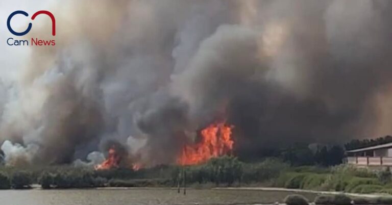 Incendi devastanti a Portopalo, San Lorenzo e Marzamemi: Canadair ed elicotteri richiesti ma ritardi preoccupanti nella risposta