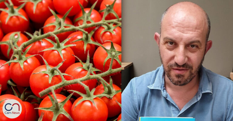 Il Pachino sotto accusa: “Non è un pomodoro siciliano ma un ibrido prodotto in laboratorio”, afferma un docente universitario